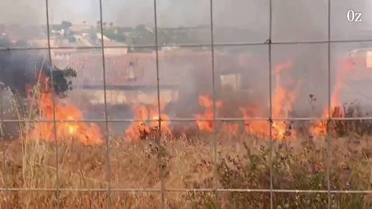Fuego en fincas sin desbrozar en el barrio de San Frontis