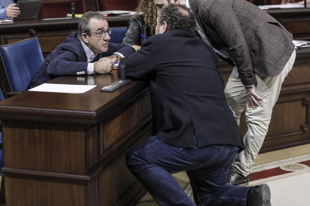 Pleno del Parlament del día 5 de noviembre de 2019