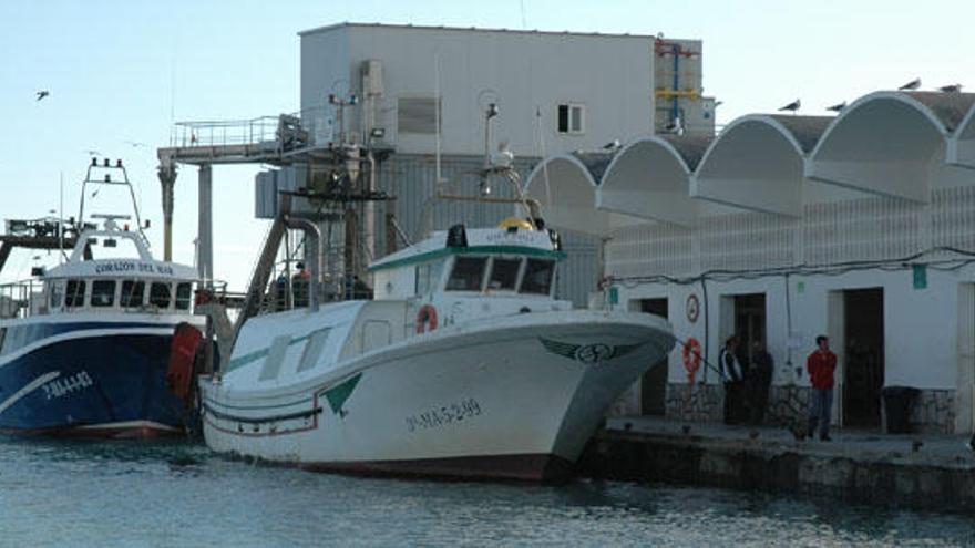 El puerto pesquero de Caleta de Vélez.
