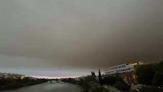 El cielo de Sevilla se tiñe de gris por el incendio forestal de Niebla