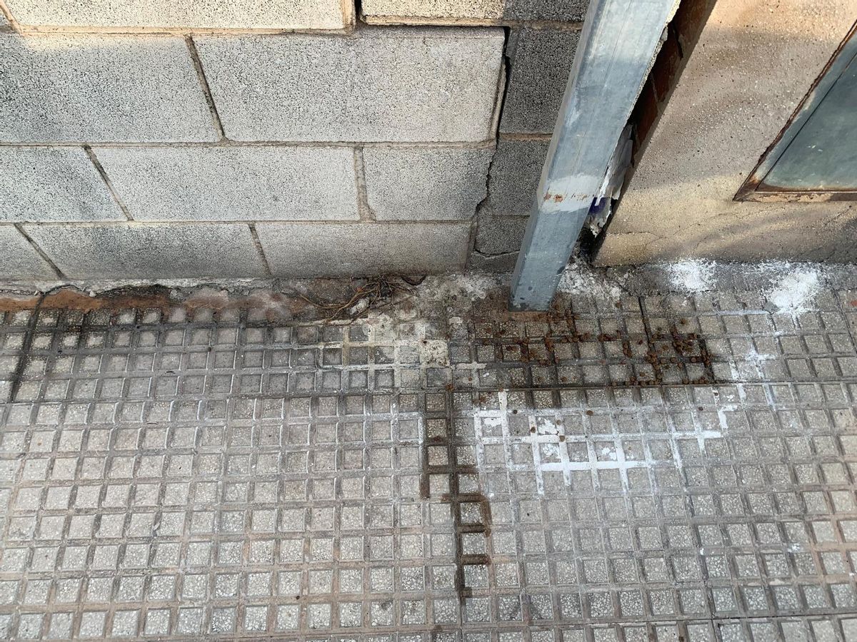 Veneno repartido en zonas públicas de Miramar.