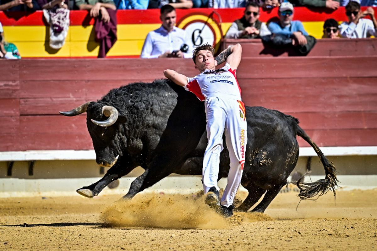 Concurso recortadores