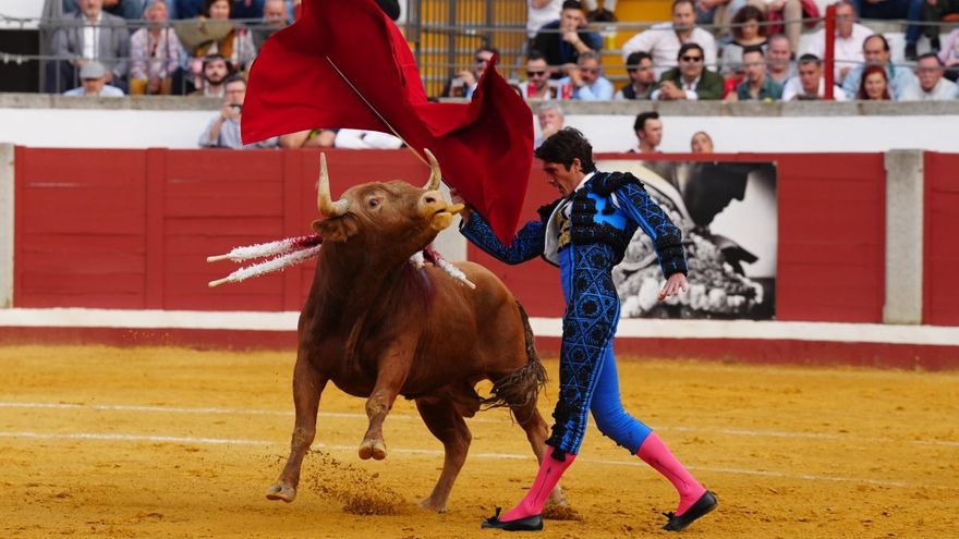 La Fundación Franz Weber denuncia ofertas infantiles para una corrida de toros en Pozoblanco