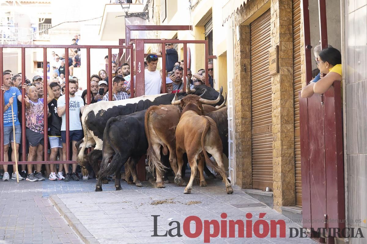 Tercer encierro de las Fiestas de Moratalla
