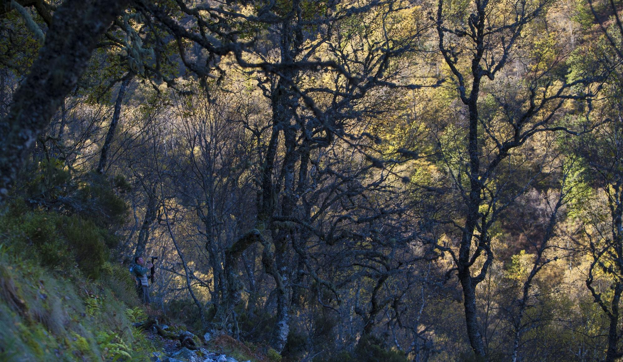 Las 100 fotos que demuestran que el otoño es la mejor época para conocer Asturias