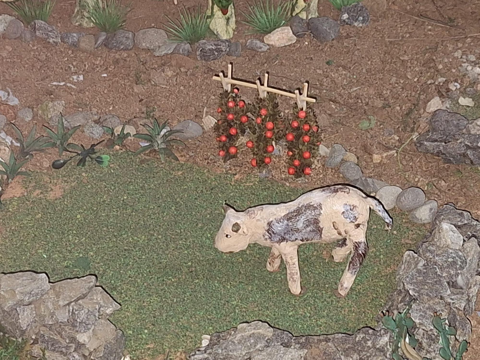 Belén Canario de Guía