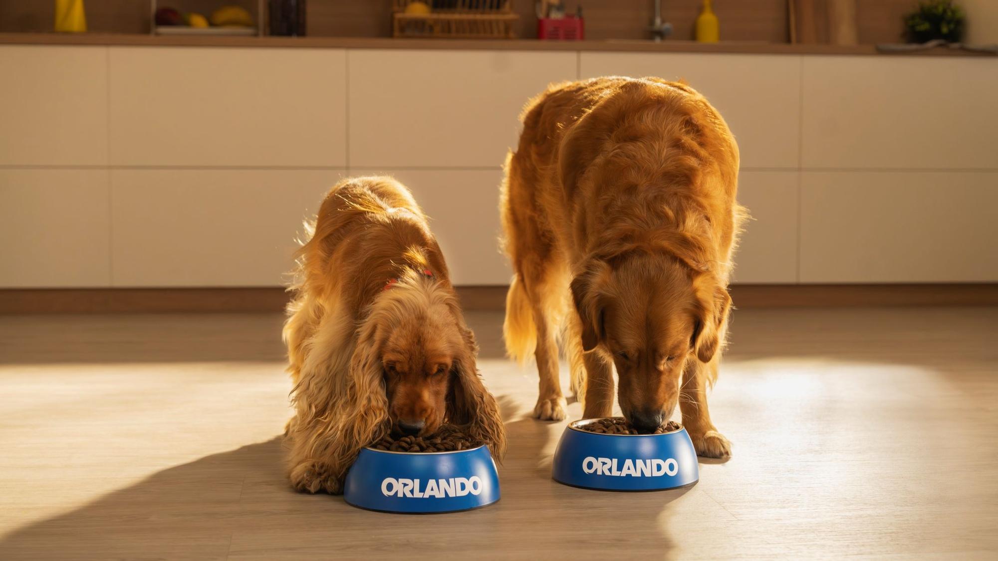 Lidl lanza su innovadora y reformulada marca de comida para perros Orlando, que cuenta con una calidad igual o superior a la de las marcas especializadas, a un precio menor.