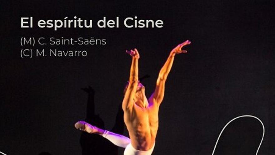 Espectáculo de danza «Clásicos y no tanto», de Ballets de Tenerife