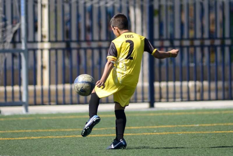 FÚTBOL: La Muela B - Segia (2ª Alevín)