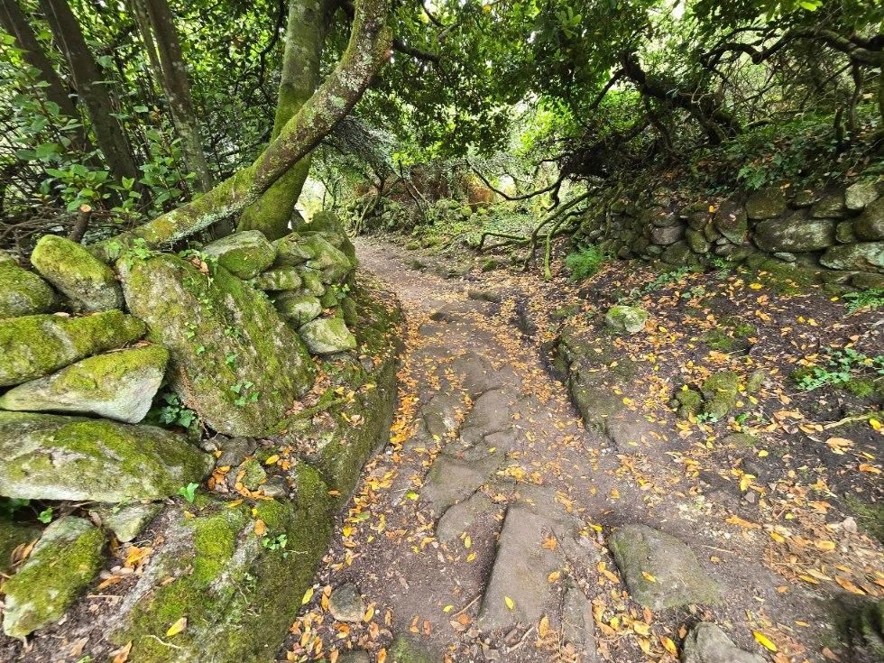 La isla de Sálvora, una de las joyas del Parque Nacional de las Islas Atlánticas de Galicia.
