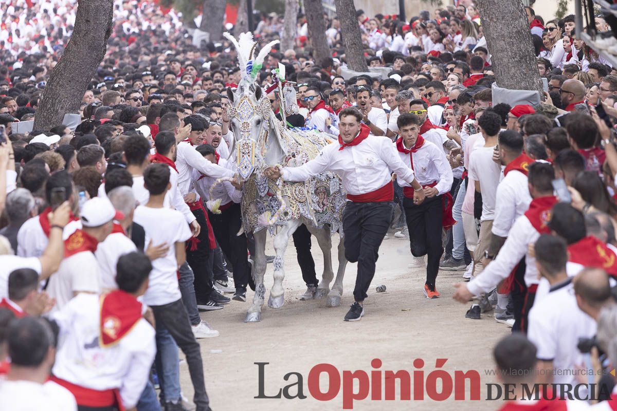 Así se ha vivido la carrera de Los Caballos del Vino en Caravaca
