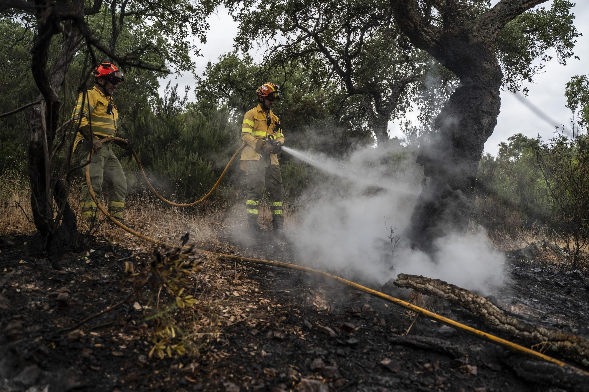 Las imágenes del incendio de este viernes en Cáceres