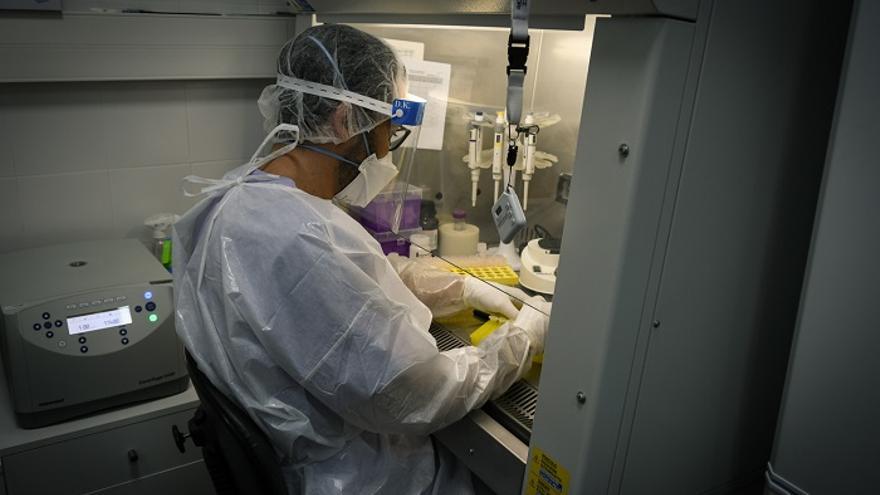 Un sanitario del hospital de Dénia analiza una muestra PCR