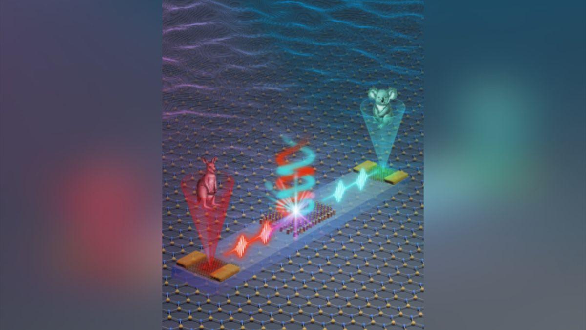 Un chip a nanoescala podría impulsar tecnologías cuánticas y de IA cada vez más avanzadas