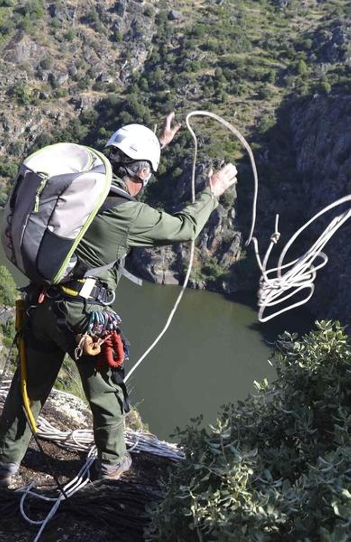 Arribes: el futuro del águila perdicera