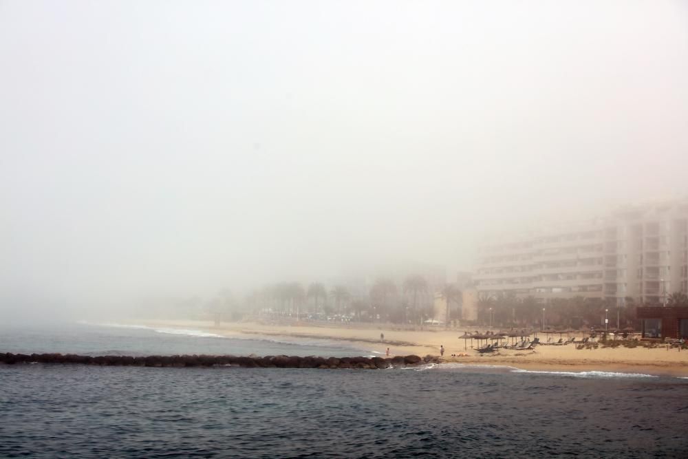 Palma amanece cubierta por la niebla