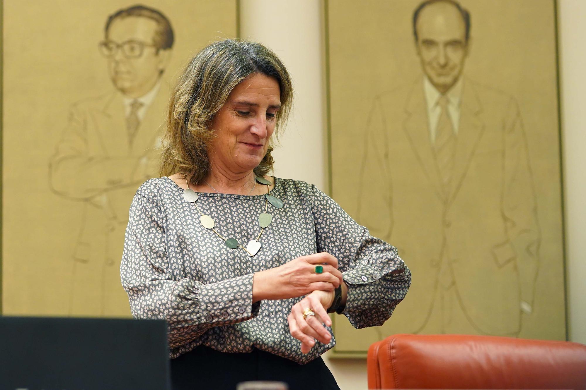 Teresa Ribera antes de la Comisión de Transición Ecológica y Reto Demográfico.