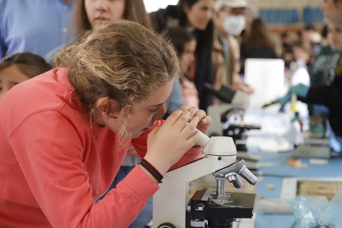 La 20 edición del Paseo de la Ciencia, en imágenes