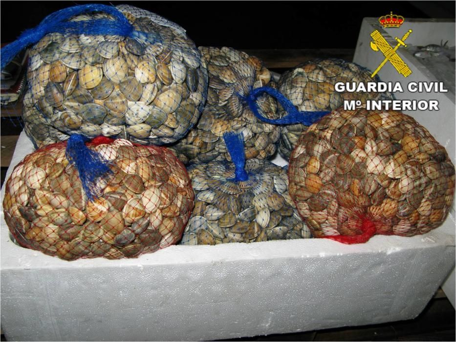 Intervienen casi 300 kilos de pescado ilegal en La Vila y Alicante