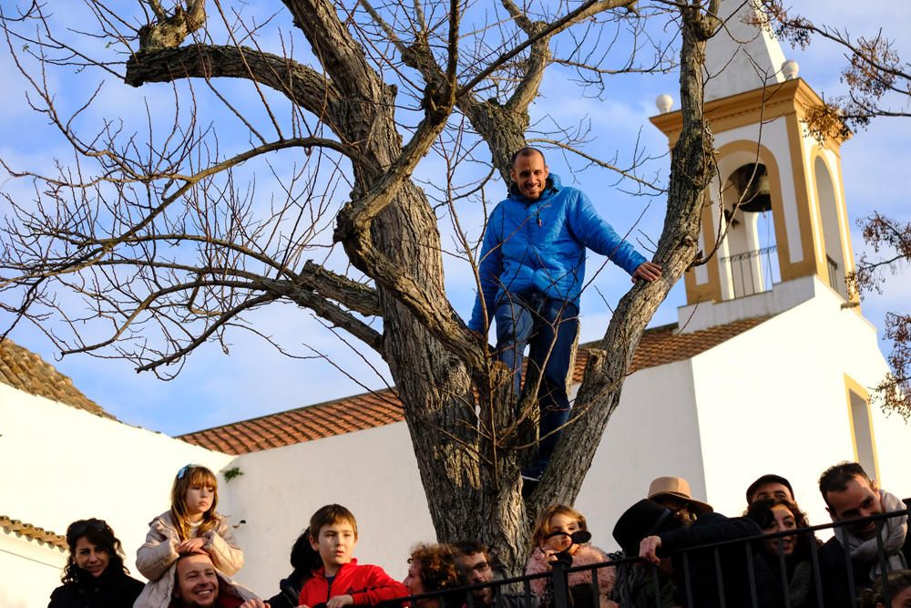 Rúa del Carnaval de Sant Joan 2017