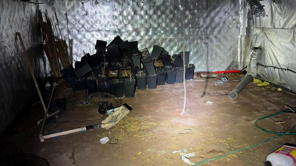 Infraestructura de la plantación indoor de marihuana en Borriol