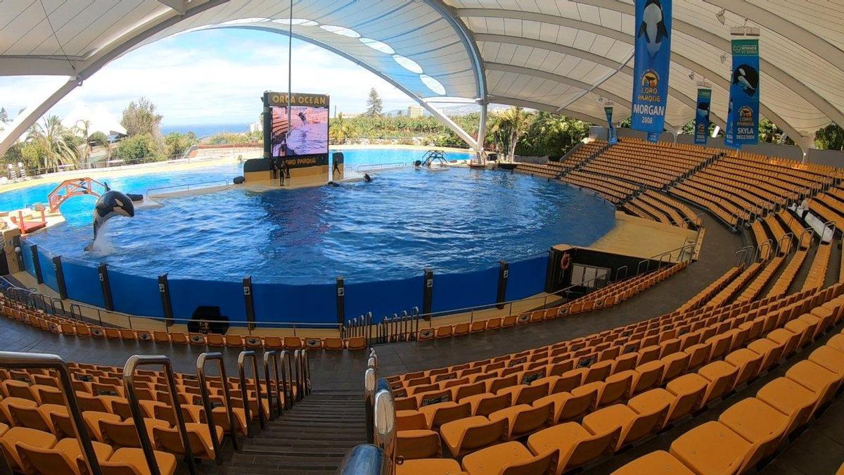 Loro Parque cumple 48 años