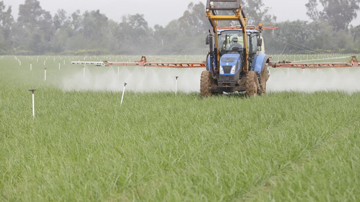 La revisión de la PAC suaviza algunas de las exigencias para recibir las ayudas.