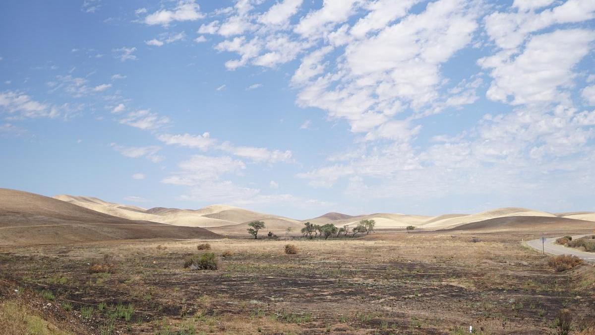 Zona afectada por la megasequía en California.