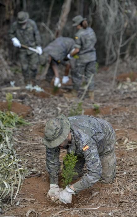 09/10/2017 FIRGAS. el Coronel Jefe del Regimiento de InfanterÍa del Ejército de Tierra, Marcelo de Carlos Huarte, y el consejero de Medio Ambiente, Miguel Ángel Rodríguez, presentaron la plantación que llevan a cabo el Ejército y el Cabildo en el Parque Rural de Doramas, en unos terrenos del Marquesado de Arucas. Se trata de una colaboración enmarcada en la restauración del ecosistema del monteverde que promueve el Proyecto LIFE+ Rabiche. FOTO: J. PÉREZ CURBELO