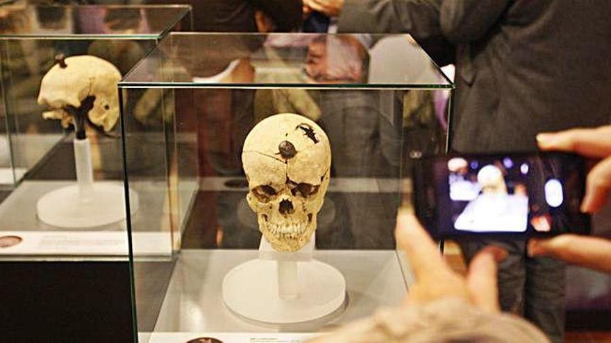 Un dels cranis d&#039;època ibèrica, en l&#039;exposició a Ullastret.
