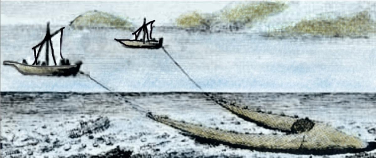 Unha ilustración da pesca ao bou.