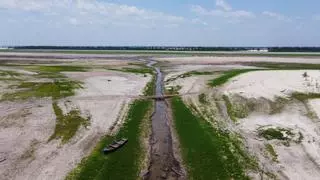 ¿Qué está causando la actual sequía récord en el Amazonas?