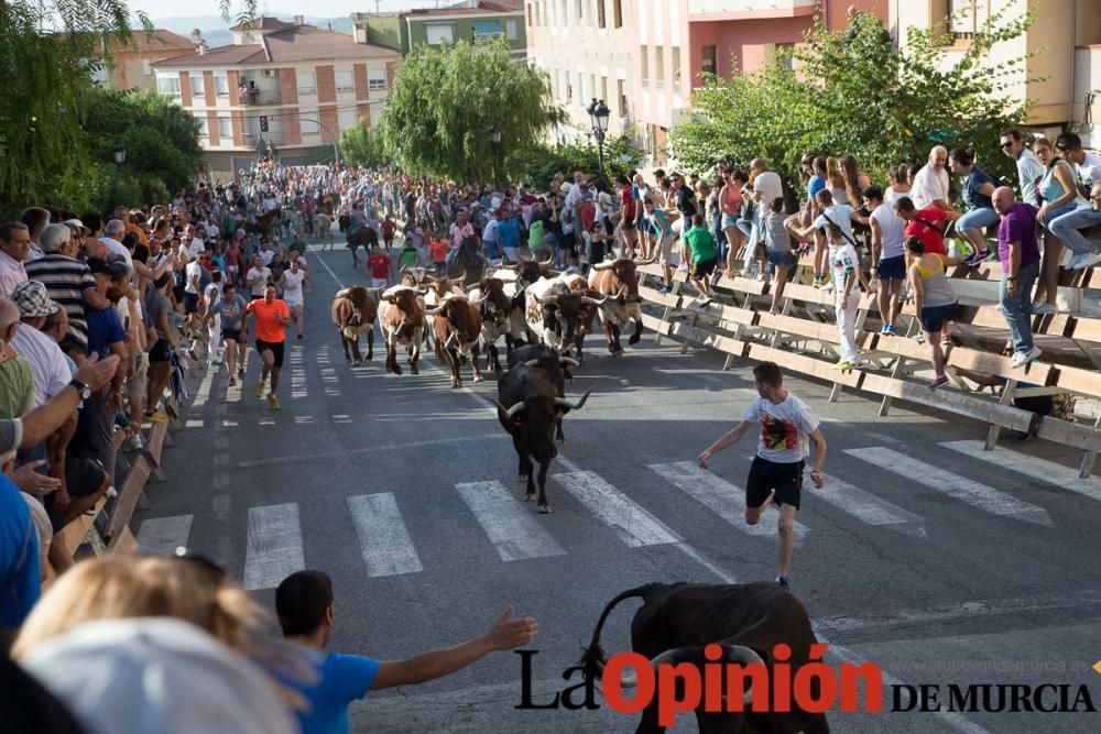 Segundo encierro Fiestas de Moratalla