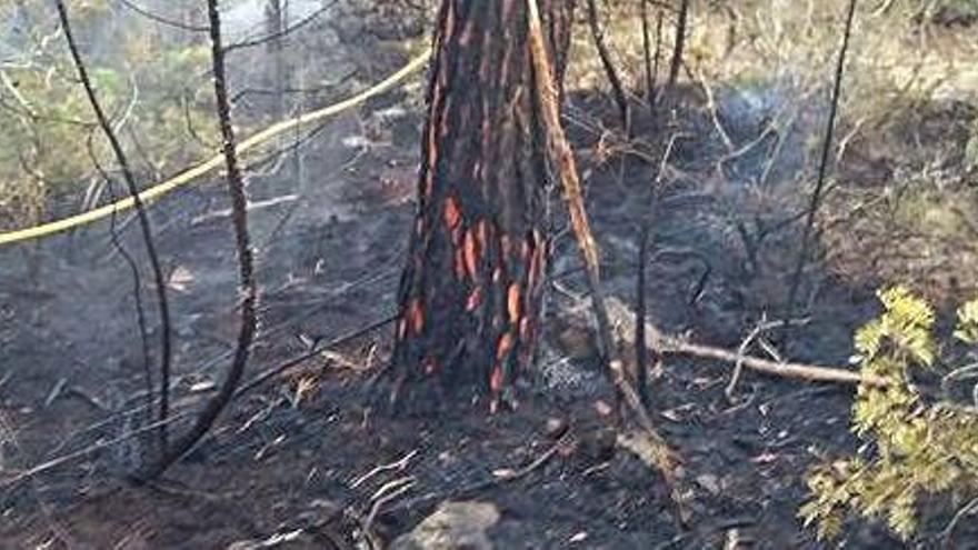 Extinguido un incendio en es Pont de s&#039;Argentera