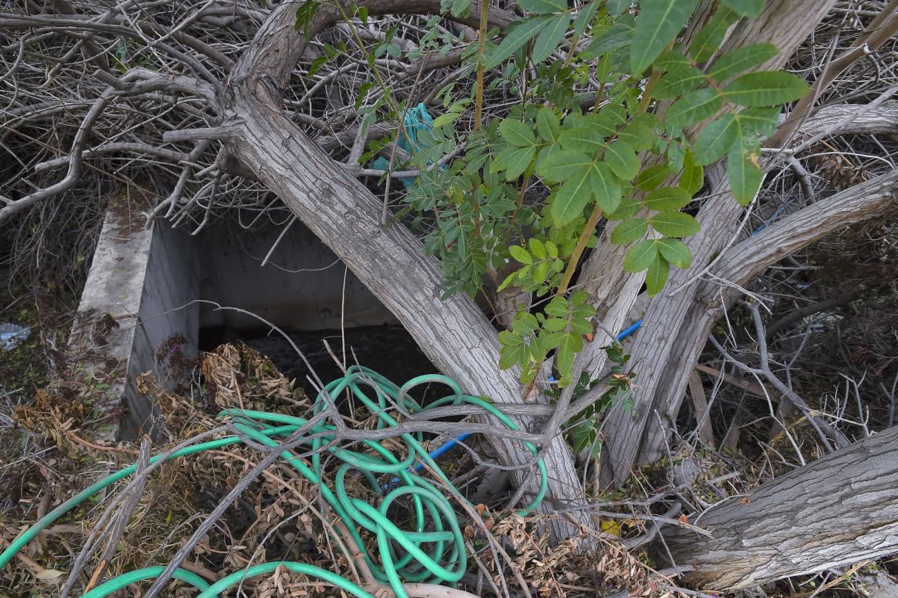 Familias de Barranco Seco afectadas por los malos olores