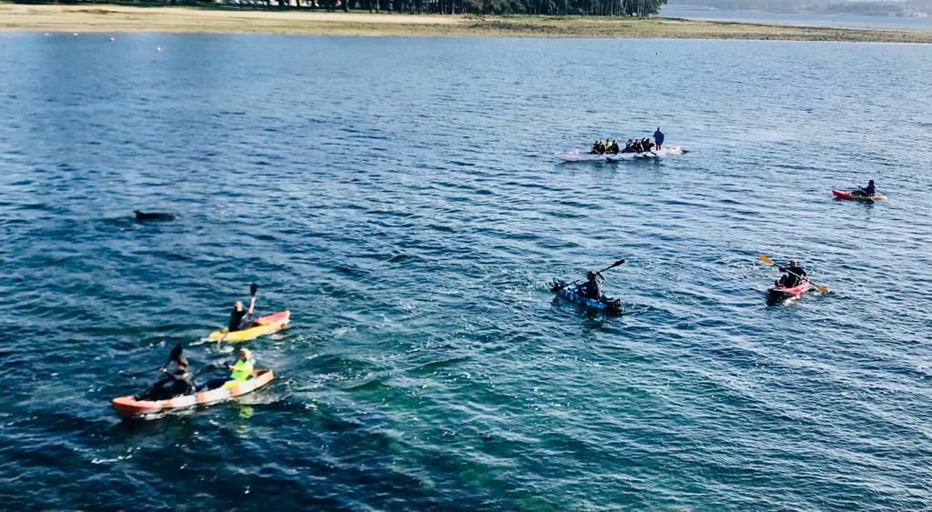 Canoas y piraguas persiguiendo a los cetáceos en aguas de A Toxa.