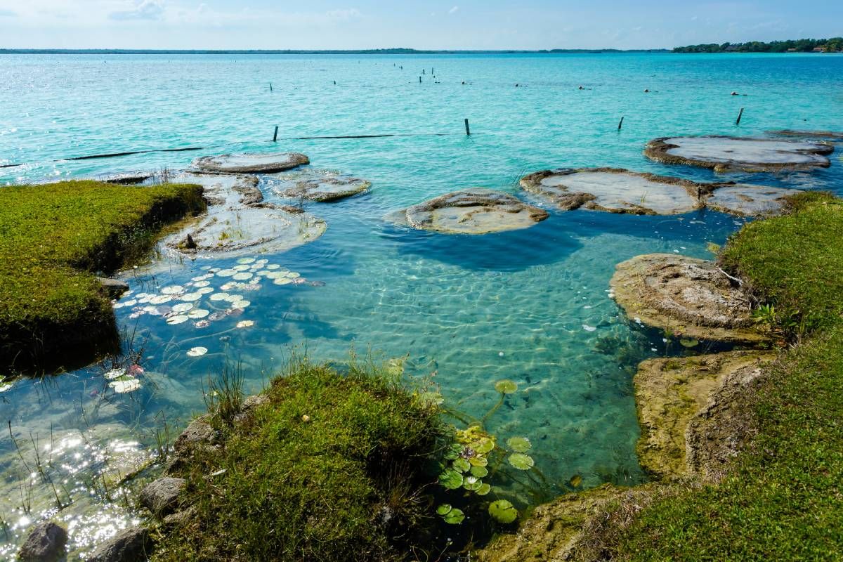 Estromatolitos en la laguna de Bacalar