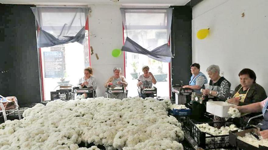 Unas alfombristas trabajan en la preparación de las flores en un bajo en el centro de Redondela. // D.R.