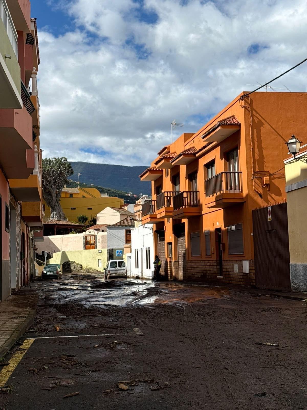 Daños ocasionados por la borrasca Therese en La Orotava