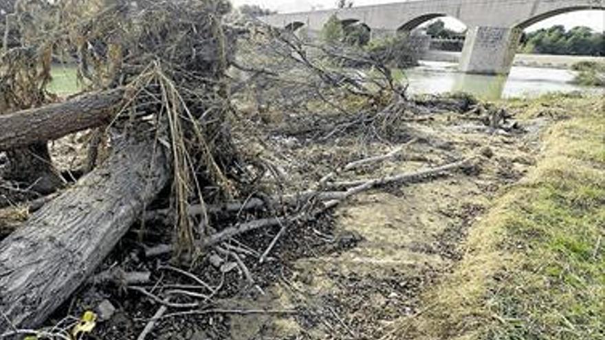 Almassora asea Santa Quitèria y retira restos del último temporal