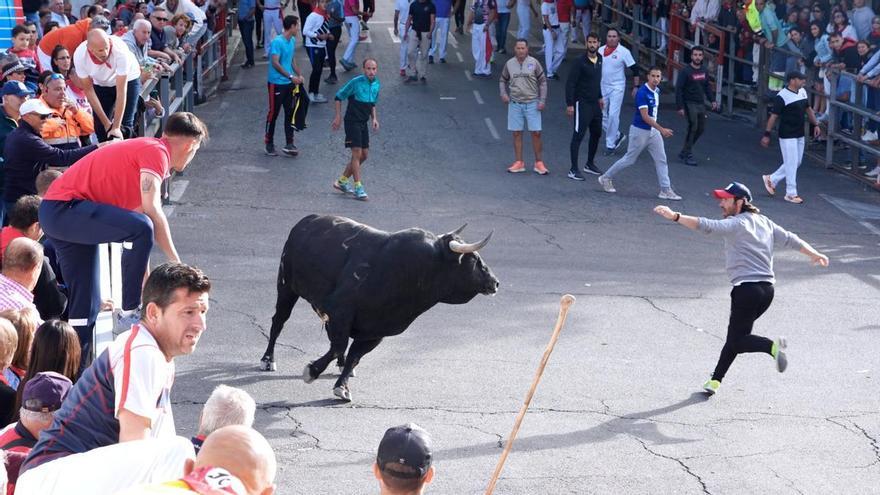 Denuncian el &quot;espectáculo cómico taurino&quot; con enanos que un pueblo de Zamora prepara para sus fiestas