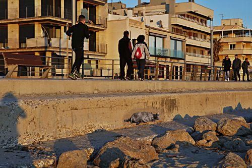 gleichgueltigkeit fotos fluechtlinge mallorca