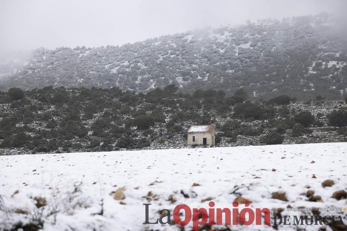 Así se está viviendo la última nevada en las proximidades de Revolcadores en Moratalla Así se está viviendo la última nevada en las proximidades de Revolcadores en Moratalla