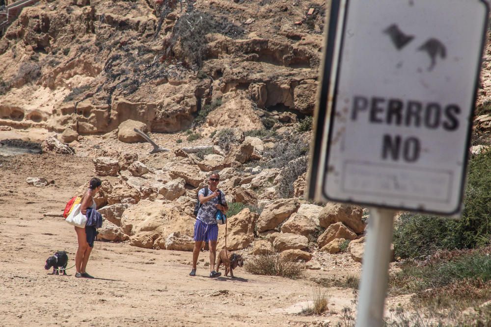 Los bañistas aseguran que no están en contra de la medida pero reclaman que se zonifique la playa para usuarios con perros y sin perros