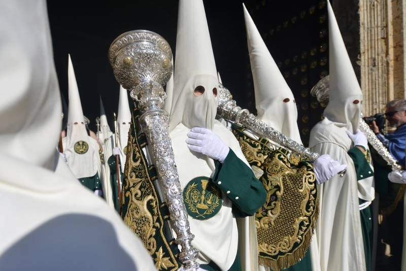 Domingo de Ramos en Córdoba