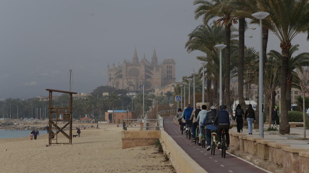 La niebla cubre Palma