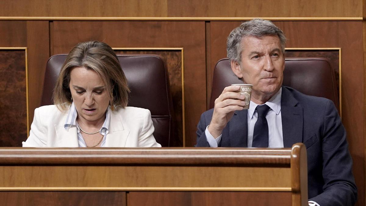 Pedro Sánchez compareix al Congreso dels Diputats