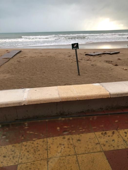 Daños por el temporal en El Campello