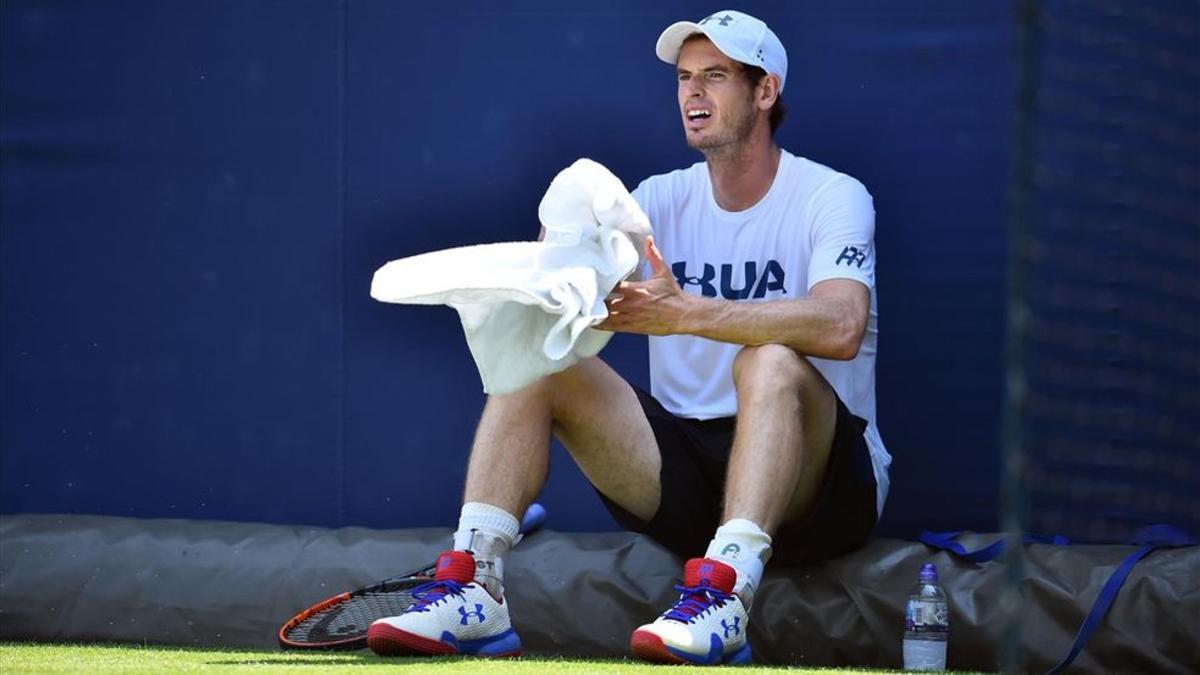 Andy Murray