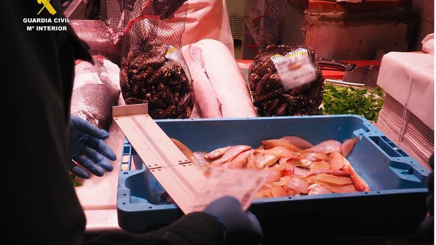 Retiran del mercado 40 kilos de pescado y marisco en Alicante